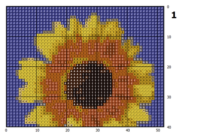 Sonnenblume