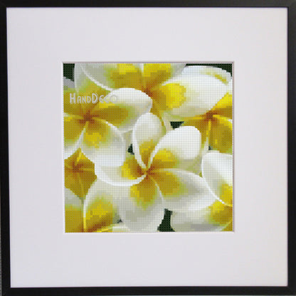 Plumeria gelb